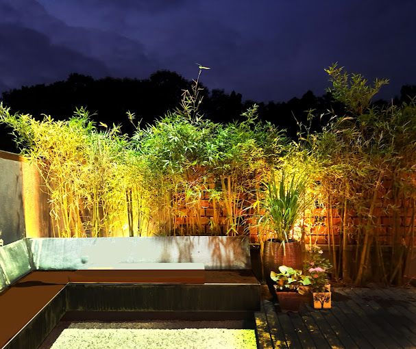 Terrace Garden Services Provider in Noida
